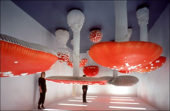 Giant Mushrooms