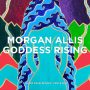 morgan allis 1 1