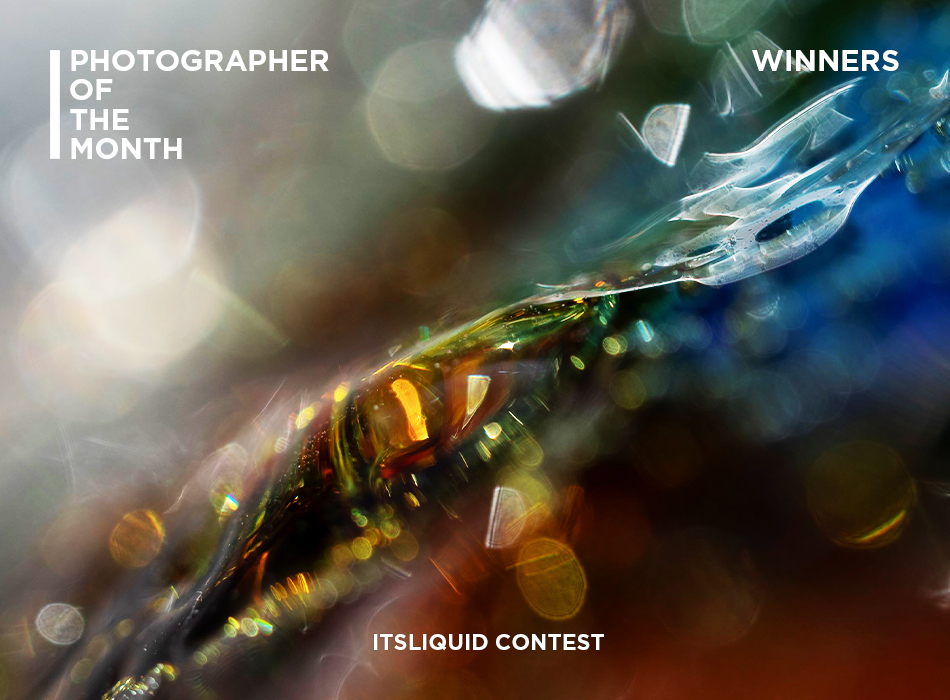 photographer of the month - winners august 2024