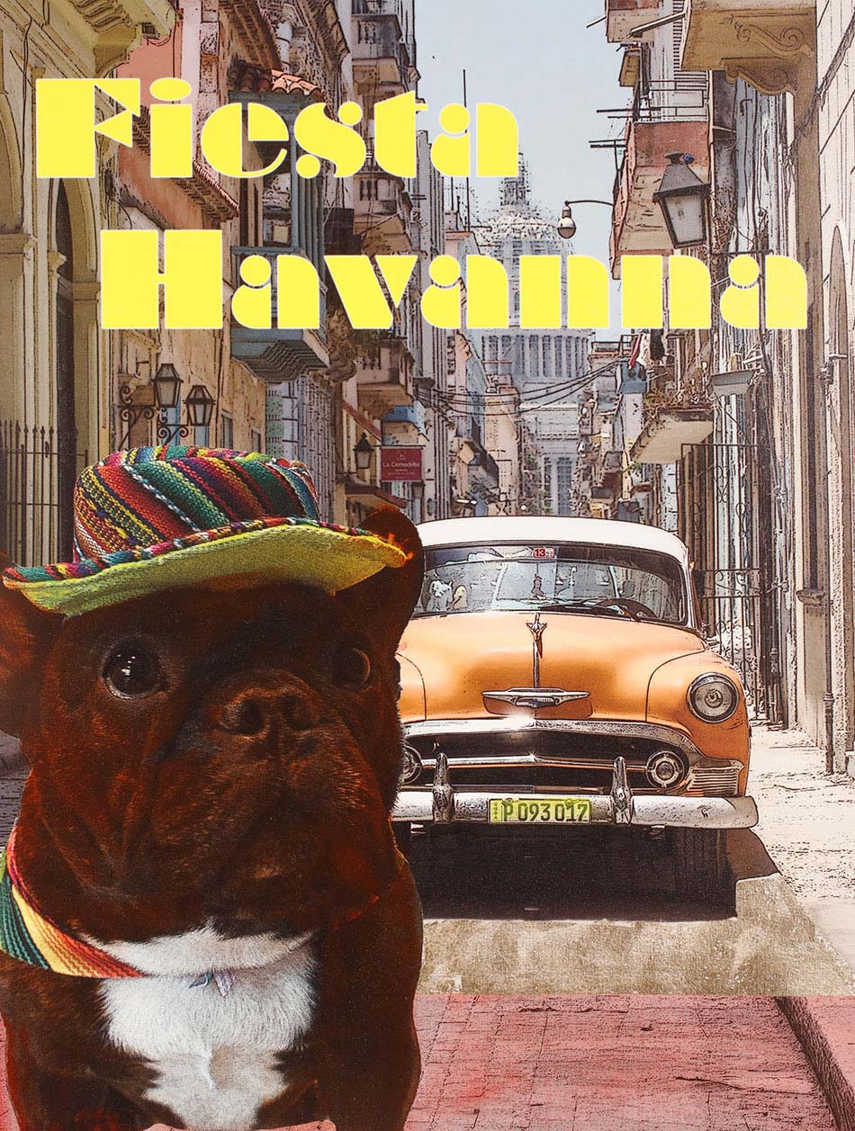 Travel Like Elliot - Robert Falcone
